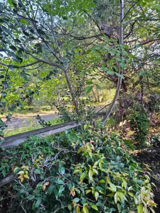 Photo #3: ML82028204 Listing