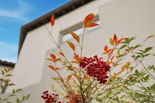 Photo #4: ML82032313 Listing 