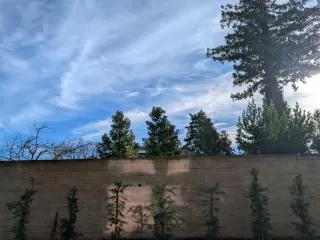 Photo #2: ML82032419 Listing 