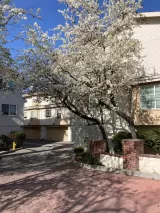 Primary Photo for MLS#: ML82033182