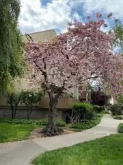 Photo #2: ML82034026 Listing 