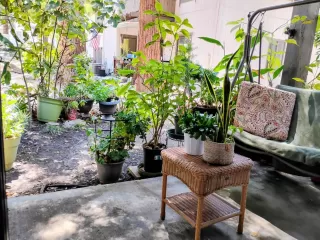 Photo #6: ML82034162 Listing 