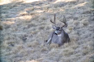 Photo #5: ML82034663 Listing