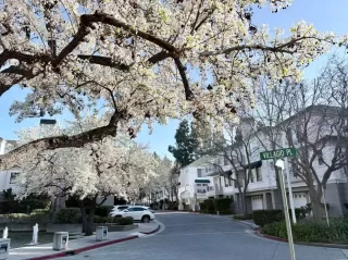 Photo #3: ML82034730 Listing 