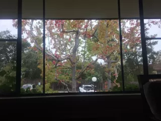 Photo #3: ML82037022 Listing 