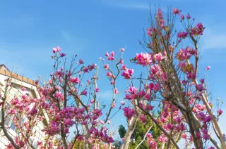 Photo #3: ML82040338 Listing 