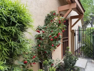 Photo #2: ML82041163 Listing 