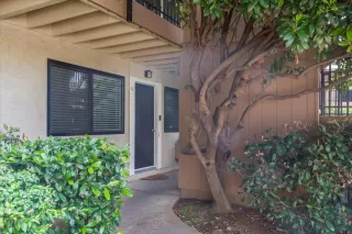 Photo #1: ML82042857 Listing 