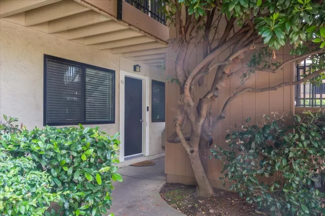 MLS: ML82042857 Condo For Sale