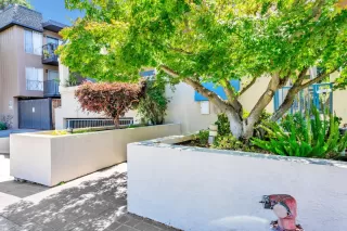 Photo #3: ML82043386 Listing 