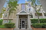 Primary Photo for MLS#: ML82046531