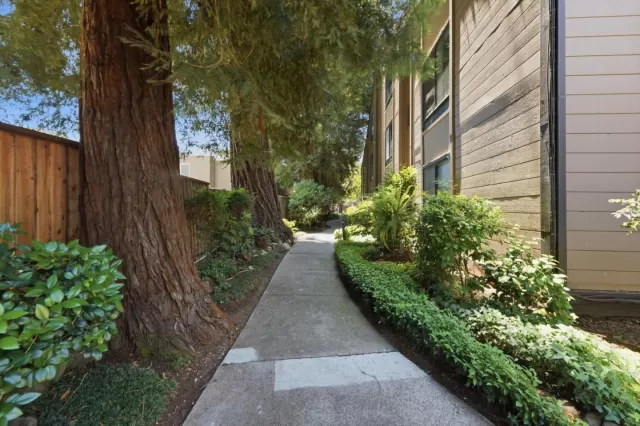 MLS: ML82052182 Condo For Sale