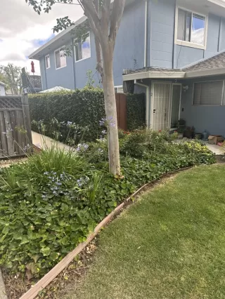 Photo #1: ML82052484 Listing 