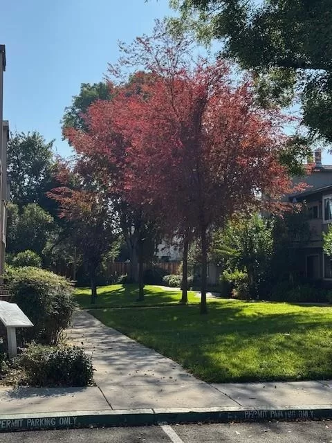 MLS: ML82052664 Condo For Sale