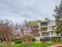 Browse active condo listings in REDWOOD COUNTRY